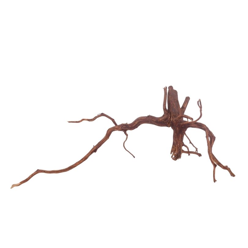 L Red Spider Wurzel Nr.3117 Fingerwurzel Echtholz Deko Aquascaping