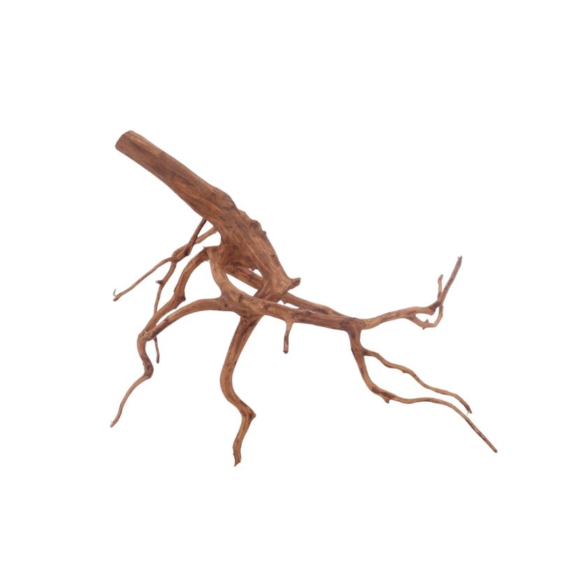 L Red Spider Wurzel Nr.3118 Fingerwurzel Echtholz Deko Aquascaping