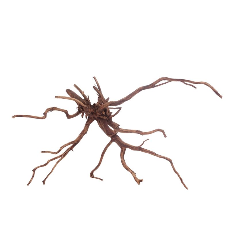 L Red Spider Wurzel Nr.3124 Fingerwurzel Echtholz Deko Aquascaping