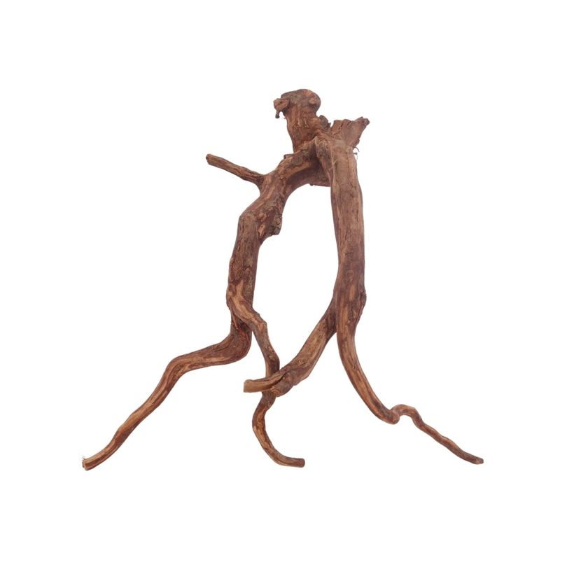 L Red Spider Wurzel Nr.3126 Fingerwurzel Echtholz Deko Aquascaping