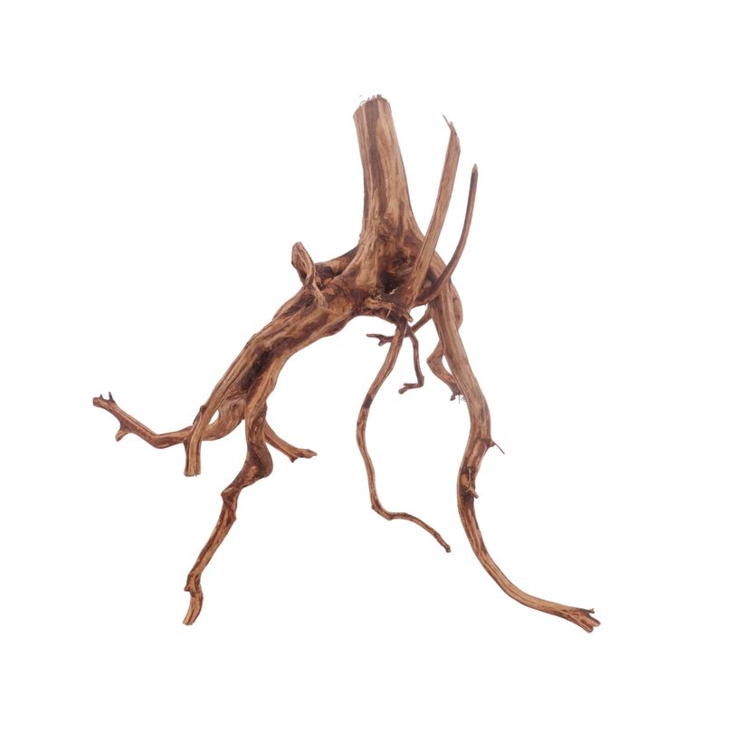L Red Spider Wurzel Nr.3127 Fingerwurzel Echtholz Deko Aquascaping