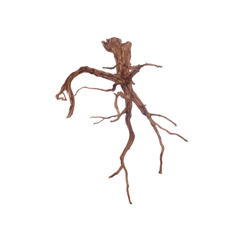 L Red Spider Wurzel Nr.3128 Fingerwurzel Echtholz Deko Aquascaping