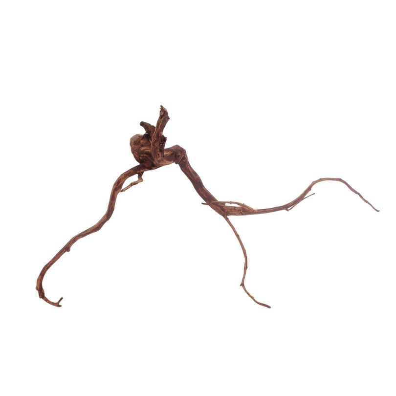 L Red Spider Wurzel Nr.3129 Fingerwurzel Echtholz Deko Aquascaping