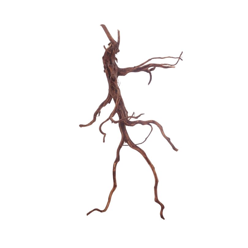 L Red Spider Wurzel Nr.3131 Fingerwurzel Echtholz Deko Aquascaping