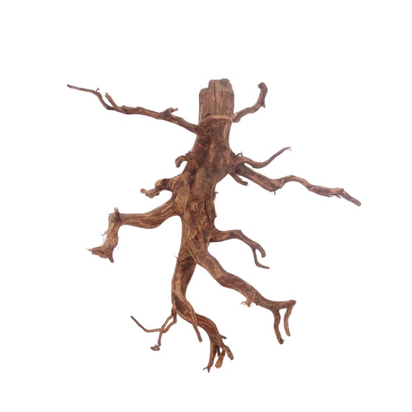 L Red Spider Wurzel Nr.3133 Fingerwurzel Echtholz Deko Aquascaping