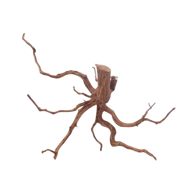 L Red Spider Wurzel Nr.3134 Fingerwurzel Echtholz Deko Aquascaping