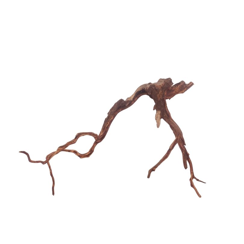 L Red Spider Wurzel Nr.3136 Fingerwurzel Echtholz Deko Aquascaping