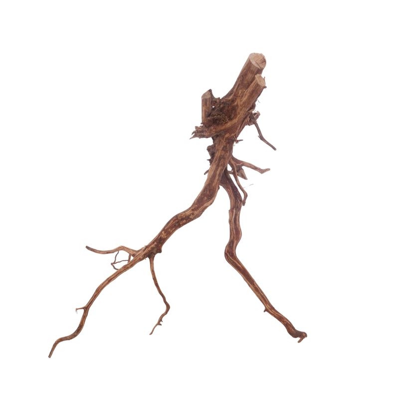 L Red Spider Wurzel Nr.3137 Fingerwurzel Echtholz Deko Aquascaping