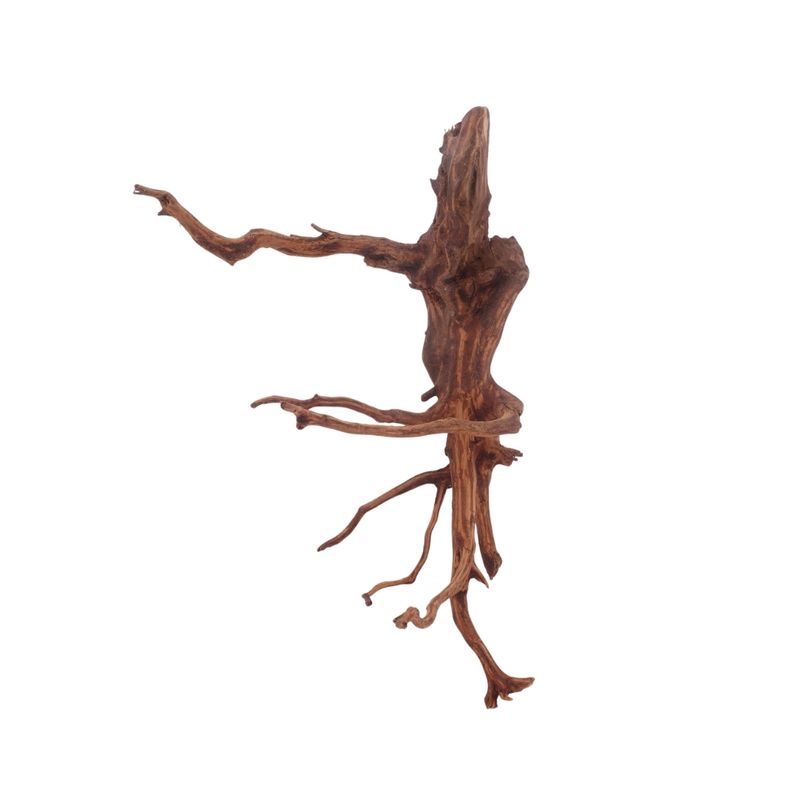 L Red Spider Wurzel Nr.3138 Fingerwurzel Echtholz Deko Aquascaping