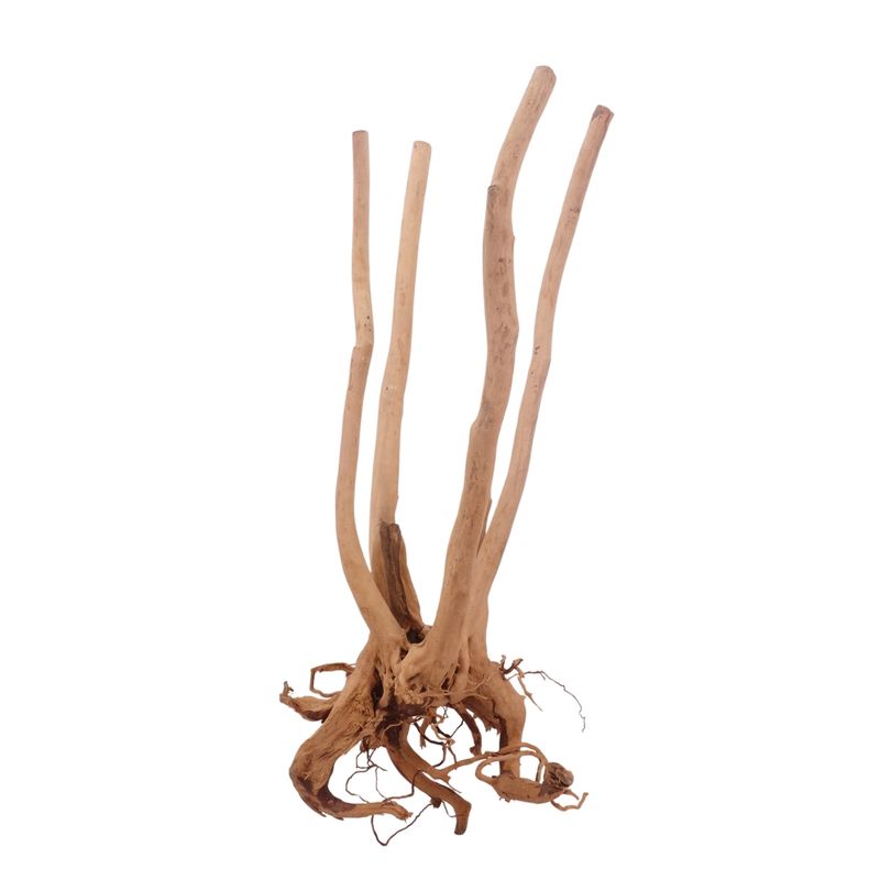 XL Stump Wurzel Nr.3183 Holz Deko Aquascaping