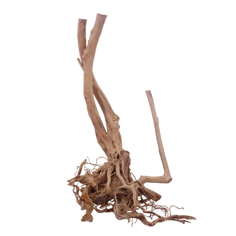 XL Stump Wurzel Nr.3184 Holz Deko Aquascaping
