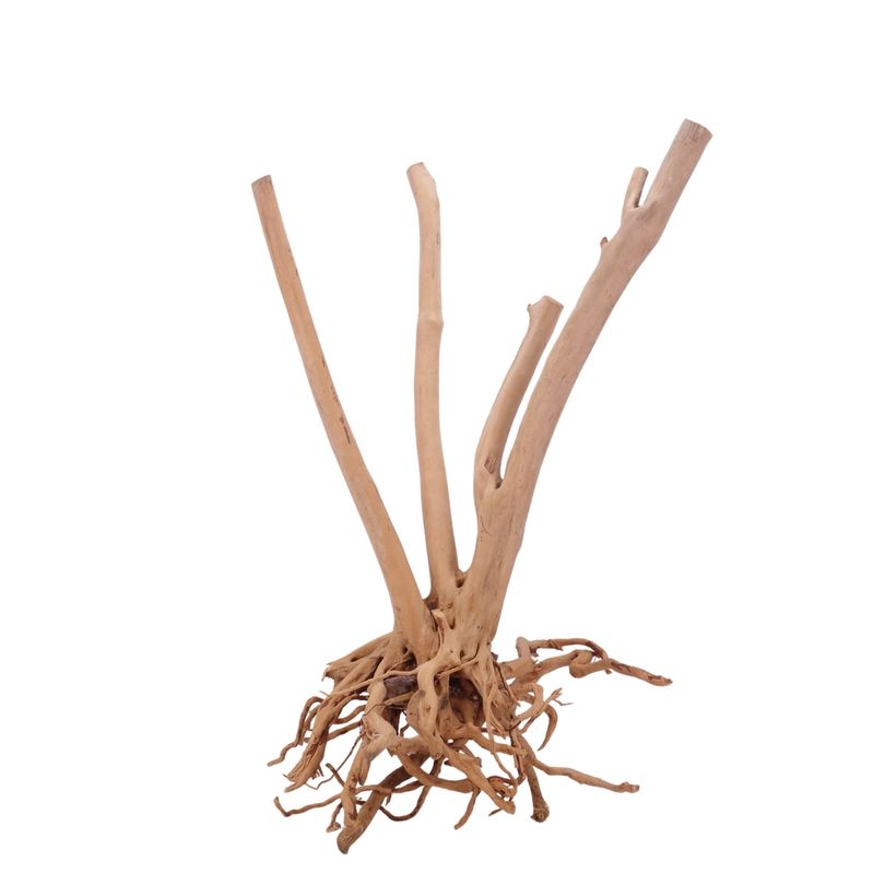 XL Stump Wurzel Nr.3185 Holz Deko Aquascaping