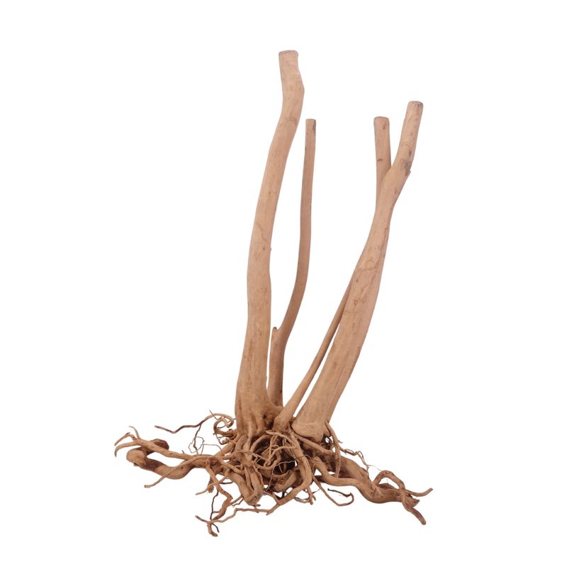 XL Stump Wurzel Nr.3186 Holz Deko Aquascaping