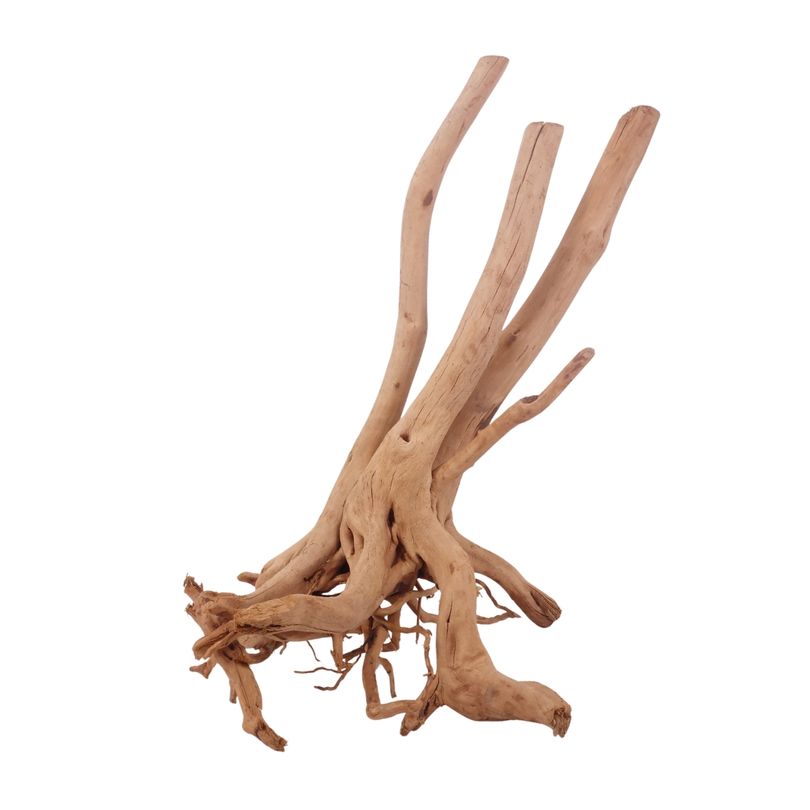 XL Stump Wurzel Nr.3187 Holz Deko Aquascaping
