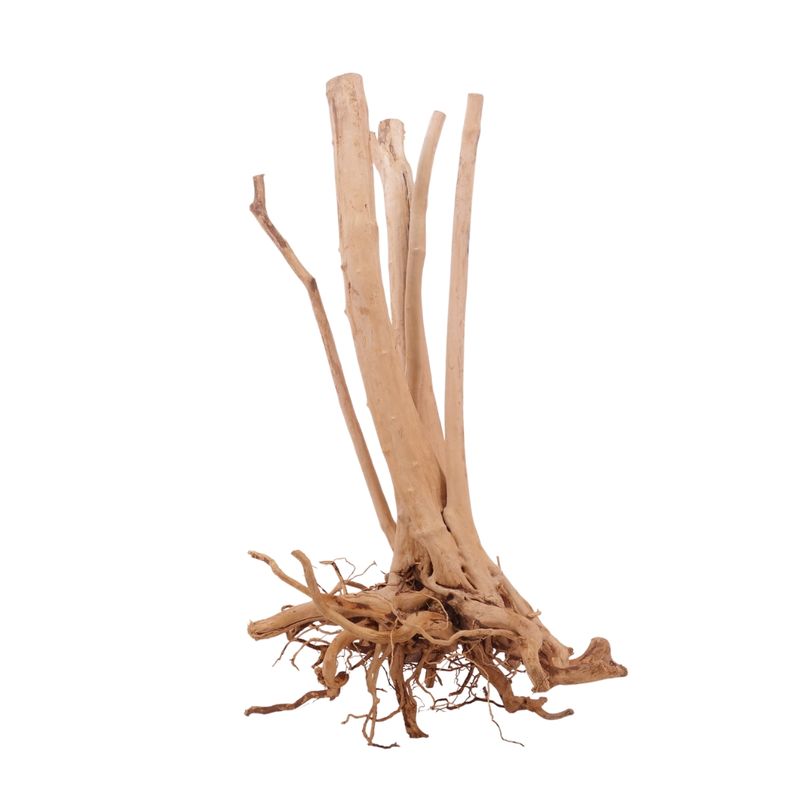 XL Stump Wurzel Nr.3190 Holz Deko Aquascaping