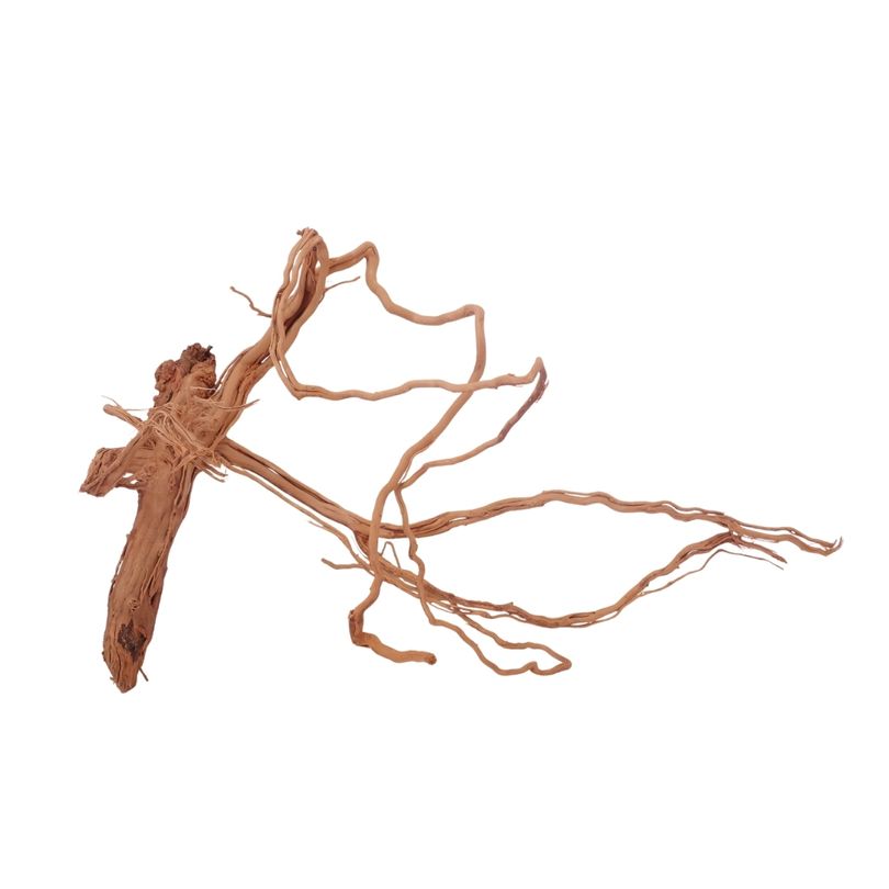 L Drachen Wurzel Nr.3192 Holz Deko Aquascaping