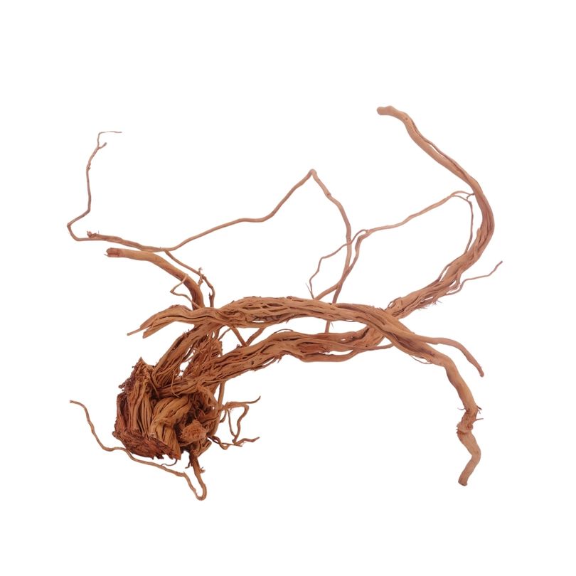 L Drachen Wurzel Nr.3193 Holz Deko Aquascaping