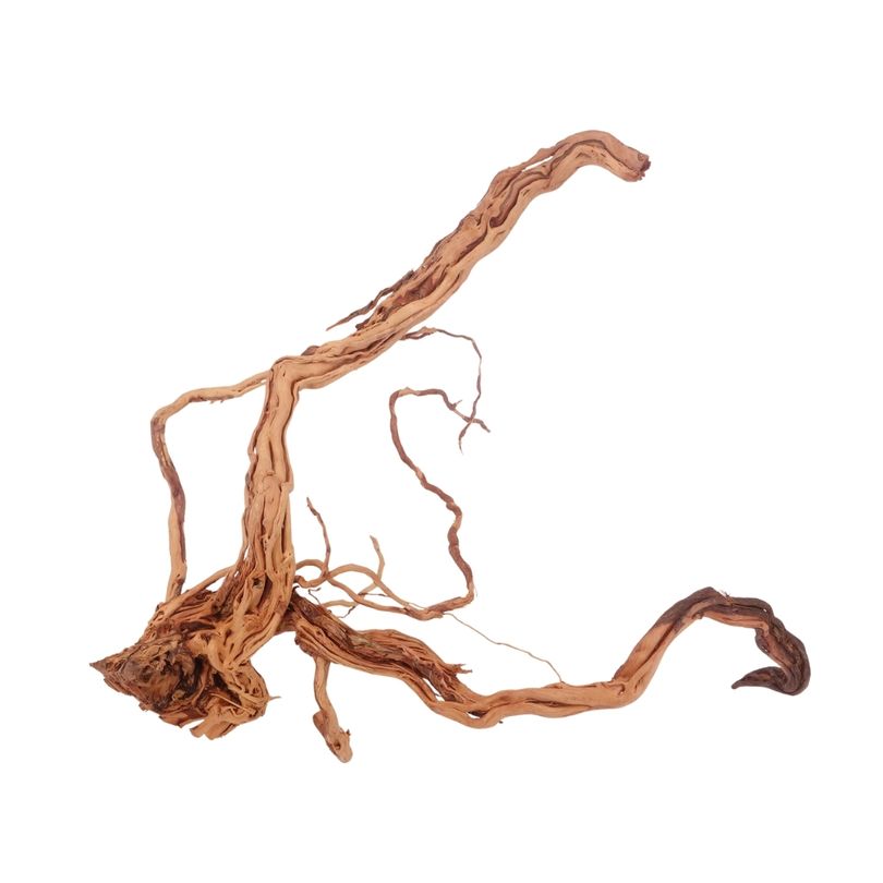 L Drachen Wurzel Nr.3194 Holz Deko Aquascaping