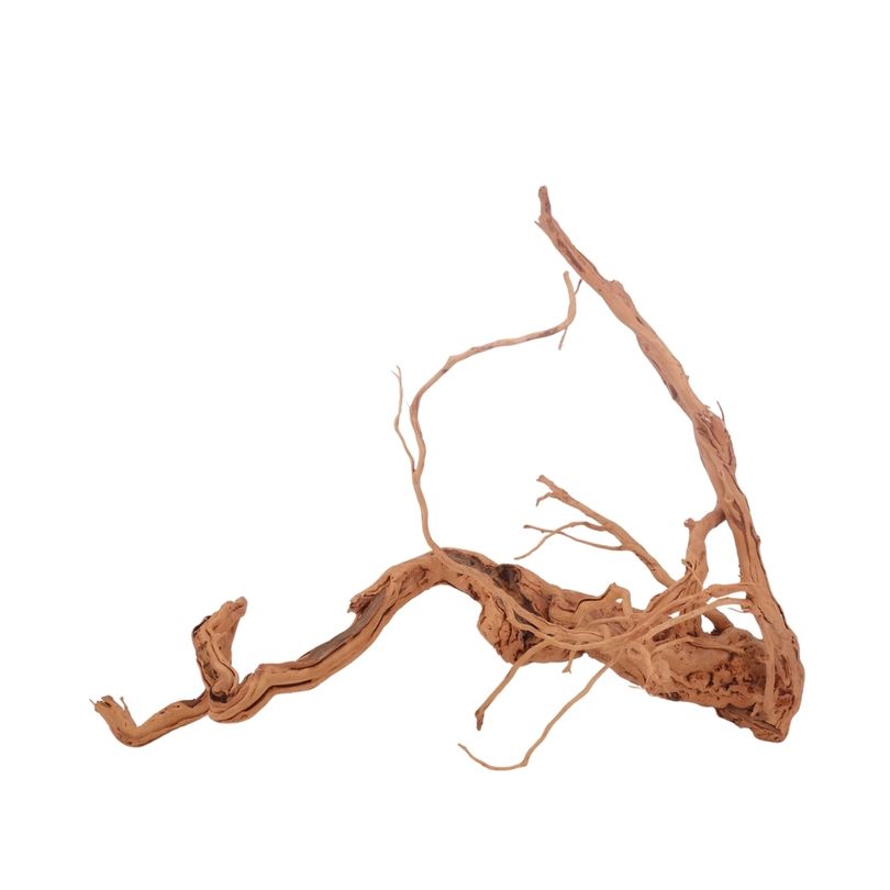 L Drachen Wurzel Nr.3195 Holz Deko Aquascaping