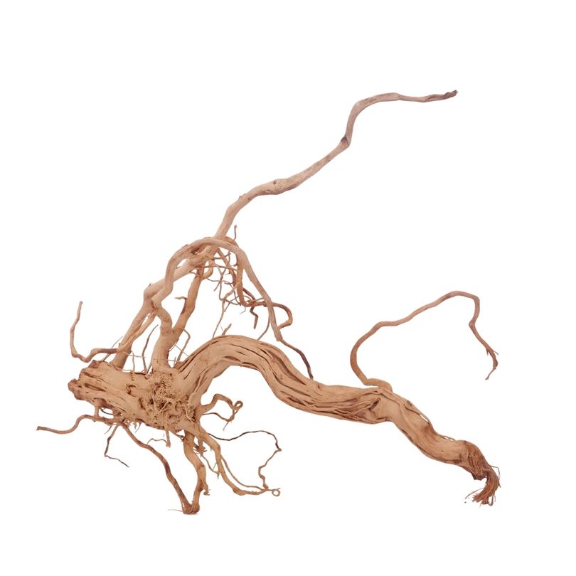 L Drachen Wurzel Nr.3196 Holz Deko Aquascaping