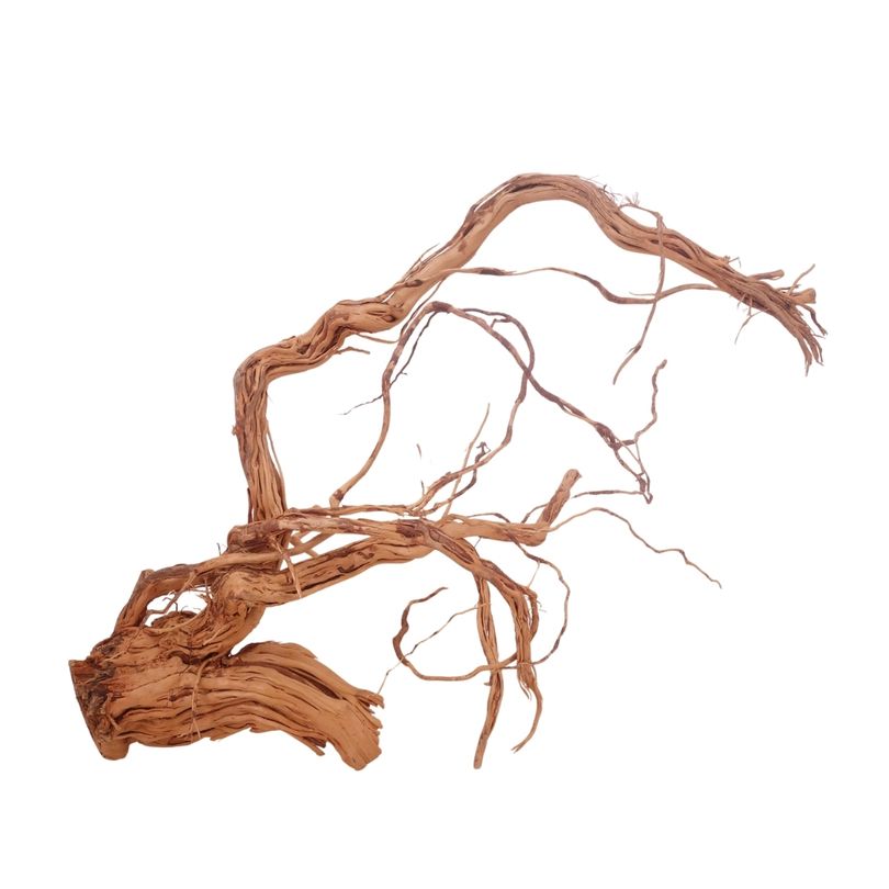 L Drachen Wurzel Nr.3197 Holz Deko Aquascaping