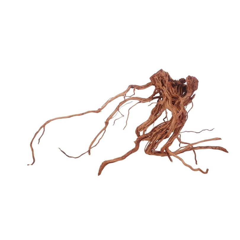 L Drachen Wurzel Nr.3199 Holz Deko Aquascaping
