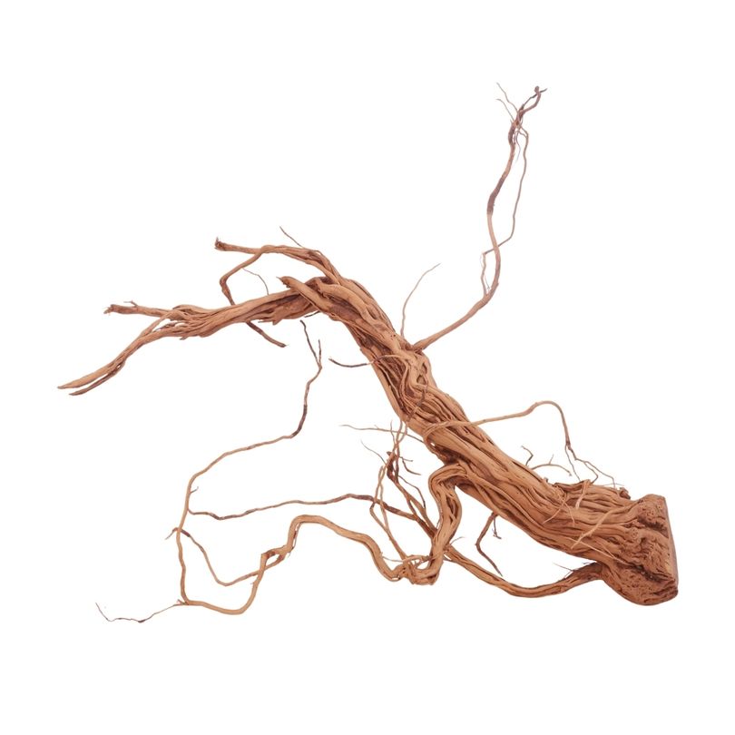 L Drachen Wurzel Nr.3201 Holz Deko Aquascaping