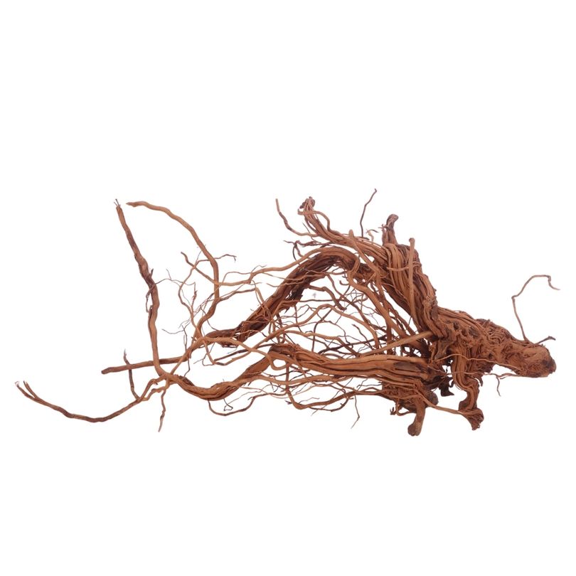 L Drachen Wurzel Nr.3202 Holz Deko Aquascaping