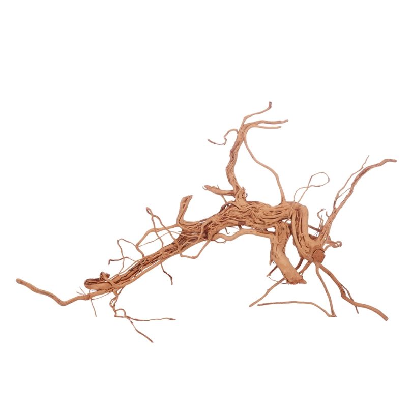 L Drachen Wurzel Nr.3205 Holz Deko Aquascaping