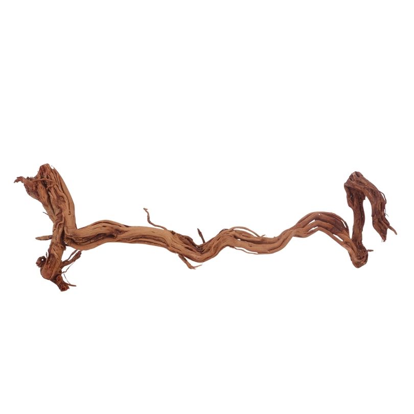 L Drachen Wurzel Nr.3207 Holz Deko Aquascaping
