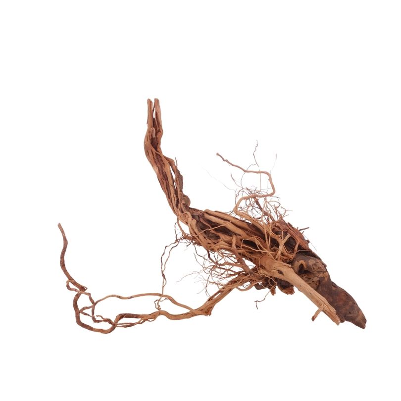 L Drachen Wurzel Nr.3208 Holz Deko Aquascaping