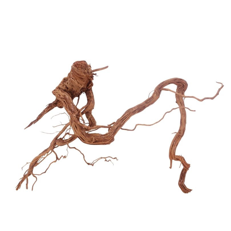 L Drachen Wurzel Nr.3209 Holz Deko Aquascaping