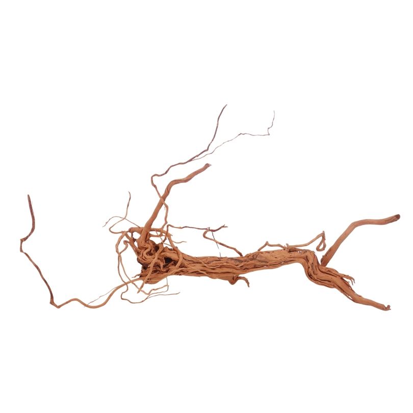 L Drachen Wurzel Nr.3211 Holz Deko Aquascaping