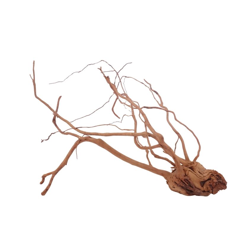 L Drachen Wurzel Nr.3213 Holz Deko Aquascaping