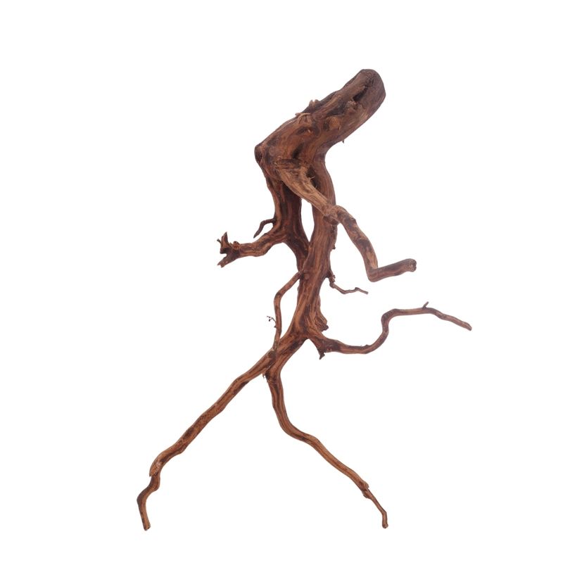 XL Red Spider Wurzel Nr.3147 Fingerwurzel Echtholz Deko Aquascaping