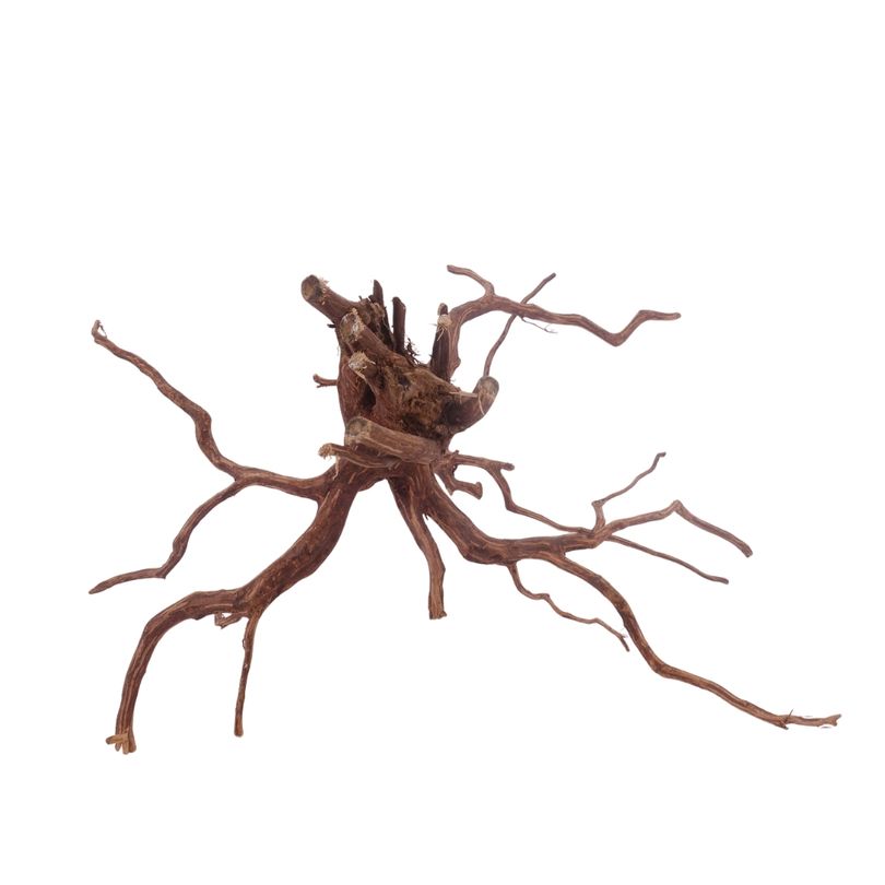 XL Red Spider Wurzel Nr.3148 Fingerwurzel Echtholz Deko Aquascaping