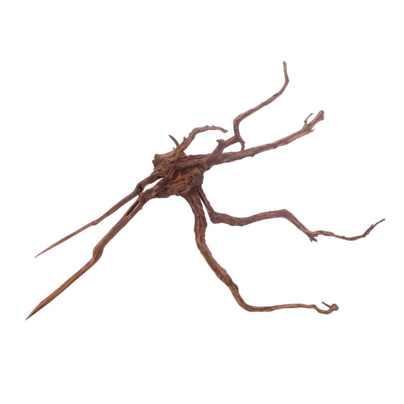 XL Red Spider Wurzel Nr.3149 Fingerwurzel Echtholz Deko Aquascaping