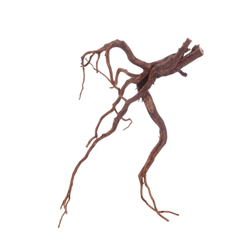 XL Red Spider Wurzel Nr.3152 Fingerwurzel Echtholz Deko Aquascaping