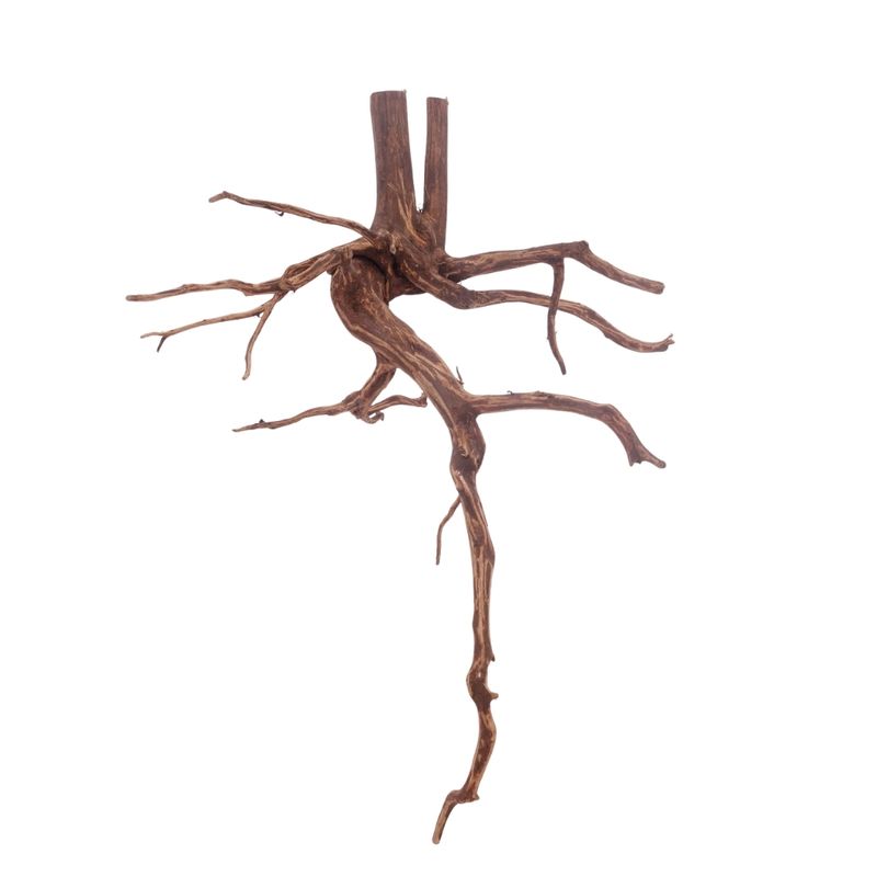 XL Red Spider Wurzel Nr.3153 Fingerwurzel Echtholz Deko Aquascaping