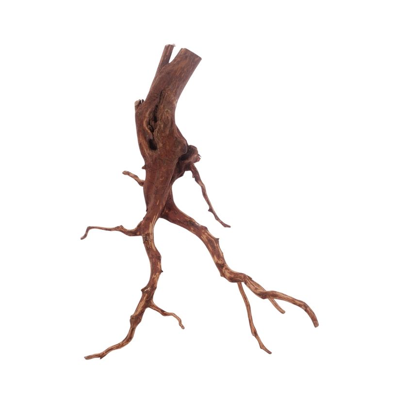 XL Red Spider Wurzel Nr.3154 Fingerwurzel Echtholz Deko Aquascaping