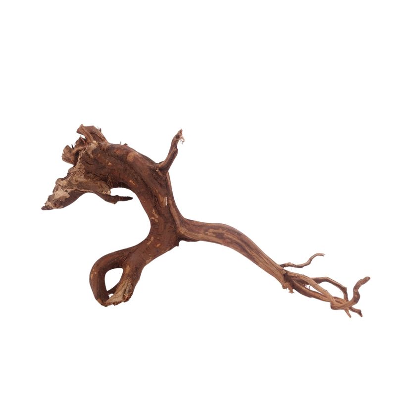 XL Red Spider Wurzel Nr.3157 Fingerwurzel Echtholz Deko Aquascaping