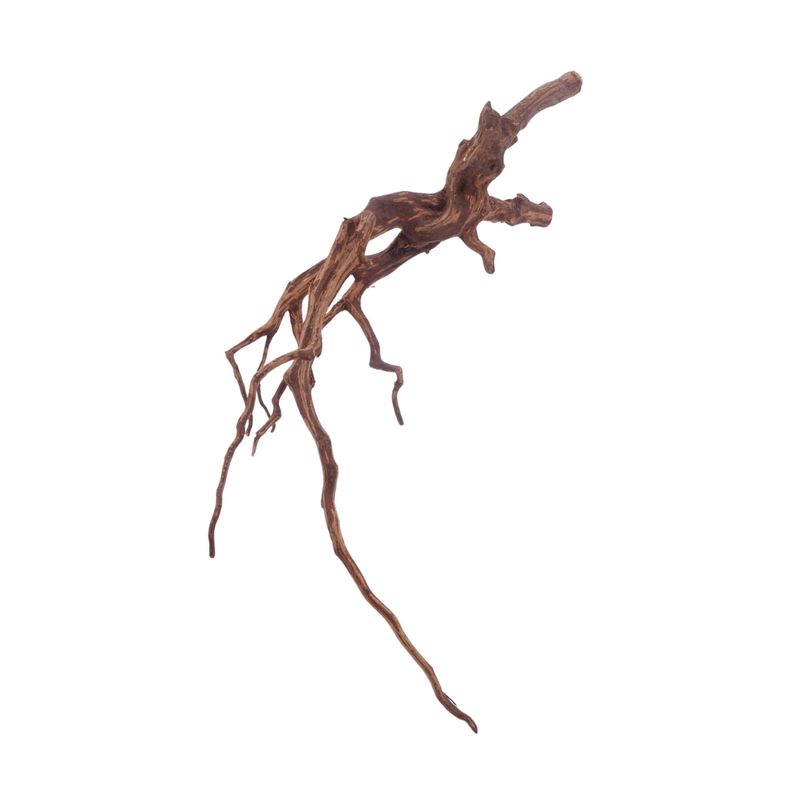 XL Red Spider Wurzel Nr.3158 Fingerwurzel Echtholz Deko Aquascaping
