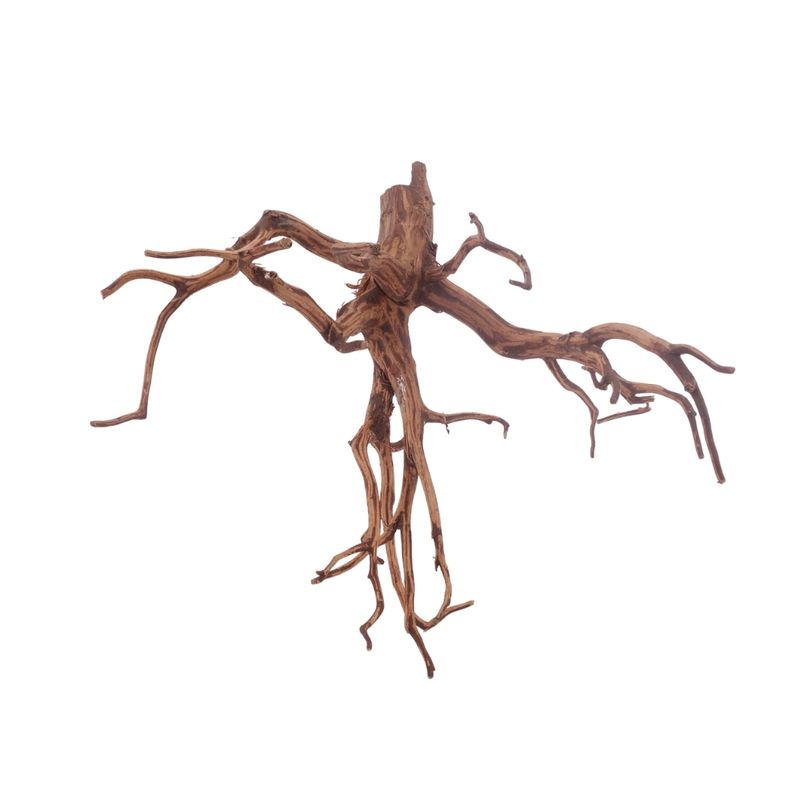 XL Red Spider Wurzel Nr.3159 Fingerwurzel Echtholz Deko Aquascaping