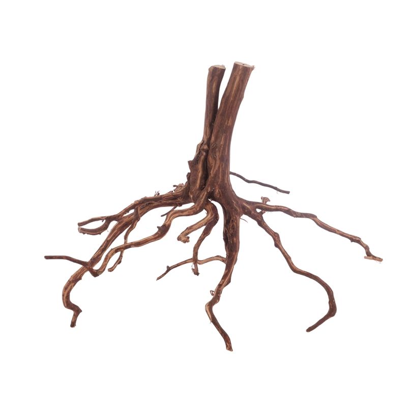 XL Red Spider Wurzel Nr.3160 Fingerwurzel Echtholz Deko Aquascaping