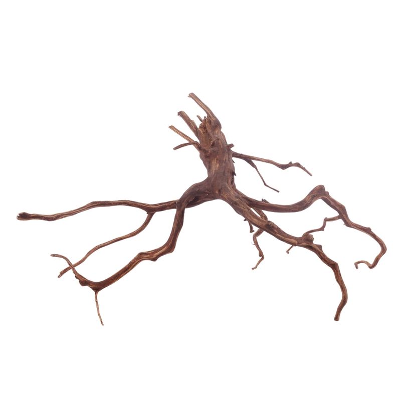XL Red Spider Wurzel Nr.3162 Fingerwurzel Echtholz Deko Aquascaping