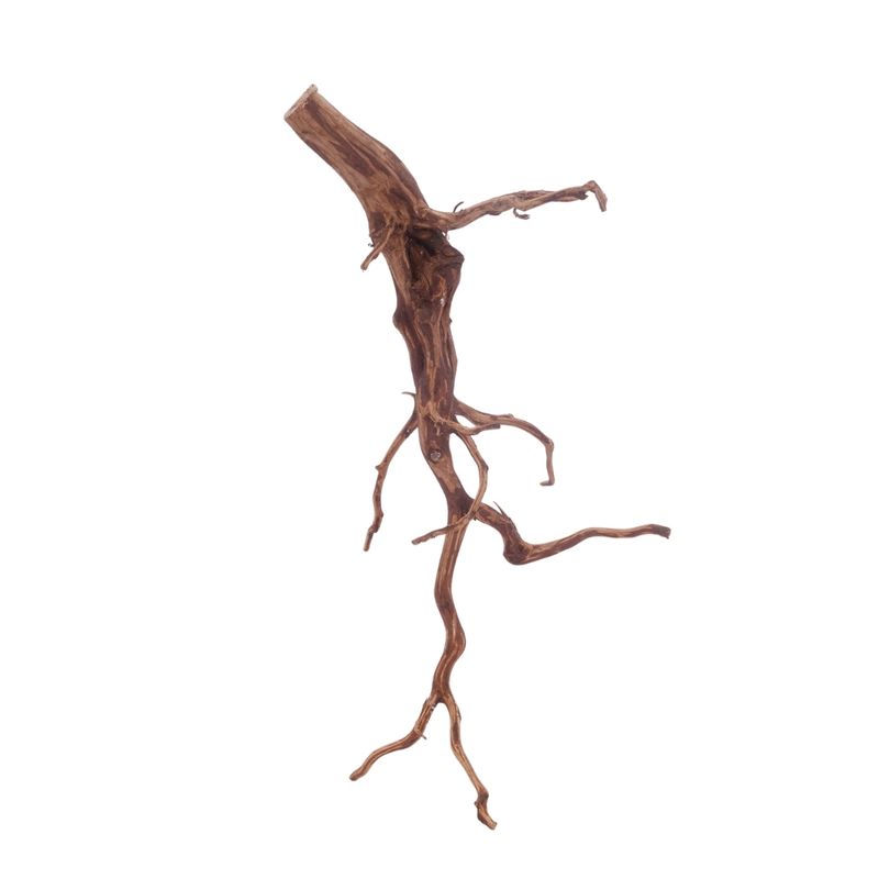 XL Red Spider Wurzel Nr.3163 Fingerwurzel Echtholz Deko Aquascaping