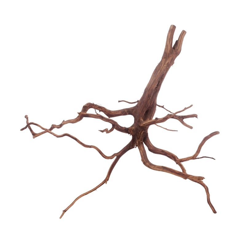 XL Red Spider Wurzel Nr.3167 Fingerwurzel Echtholz Deko Aquascaping