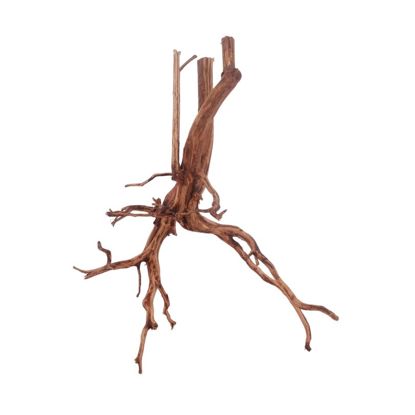 XL Red Spider Wurzel Nr.3168 Fingerwurzel Echtholz Deko Aquascaping
