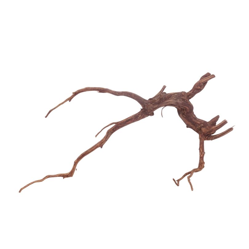 XL Red Spider Wurzel Nr.3170 Fingerwurzel Echtholz Deko Aquascaping