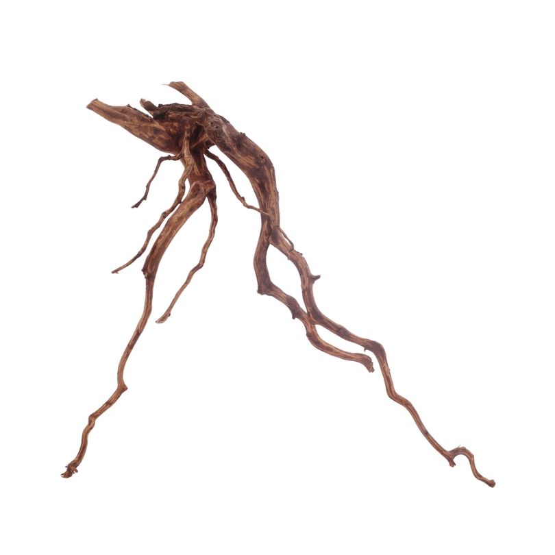 XL Red Spider Wurzel Nr.3171 Fingerwurzel Echtholz Deko Aquascaping